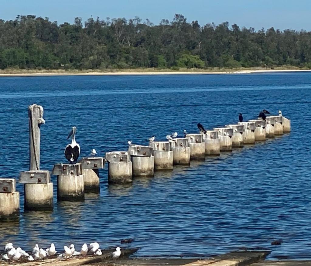 Sandbar Motel 4*
