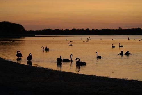 Sandbar Lakes Entrance
